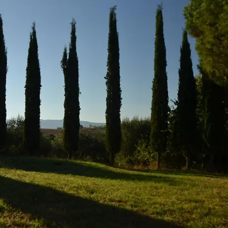 Agriturismo La Casetta Del Sole Çiftlik konaklama *